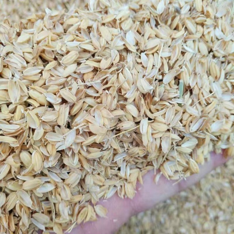 供应压块稻壳基质栽培大棚种植牛场养殖垫料
