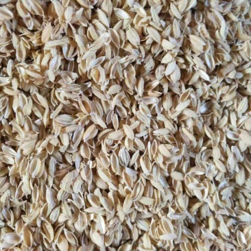 销售稻壳稻壳粉除尘稻壳压缩稻壳养殖饲料原料