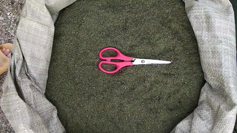 贵州铜仁全草类中药材野生青蒿纯叶干品色青绿无枝杆产地直发