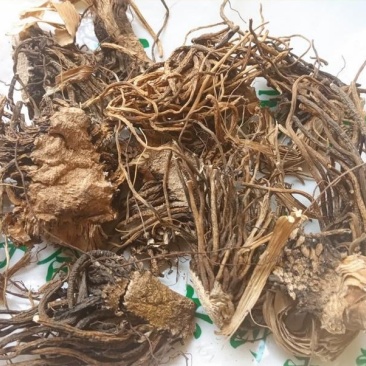 藜芦，藜芦根，披麻草根，质优价实，品质保证，药典标准云南