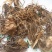 藜芦，藜芦根，披麻草根，质优价实，品质保证，药典标准云南