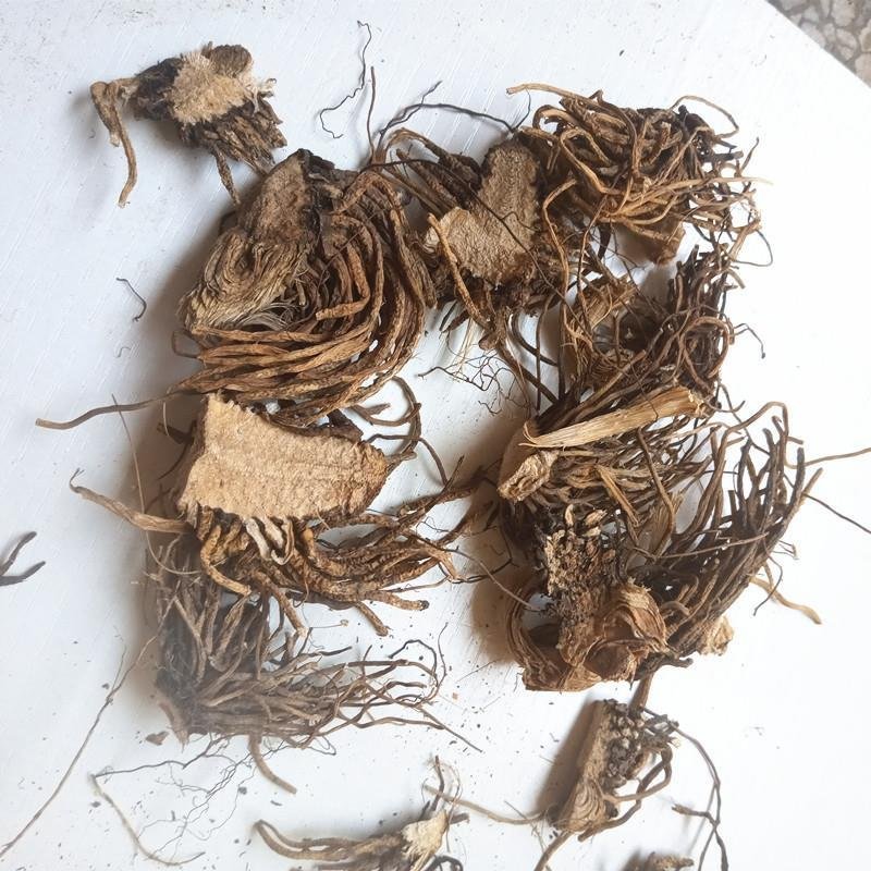 藜芦，藜芦根，披麻草根，质优价实，品质保证，药典标准云南