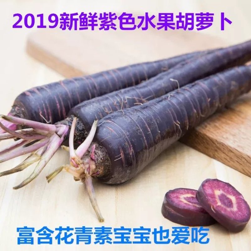 新鲜紫皮胡萝卜水果黑萝卜生吃沙窝紫心萝卜青农家蔬菜