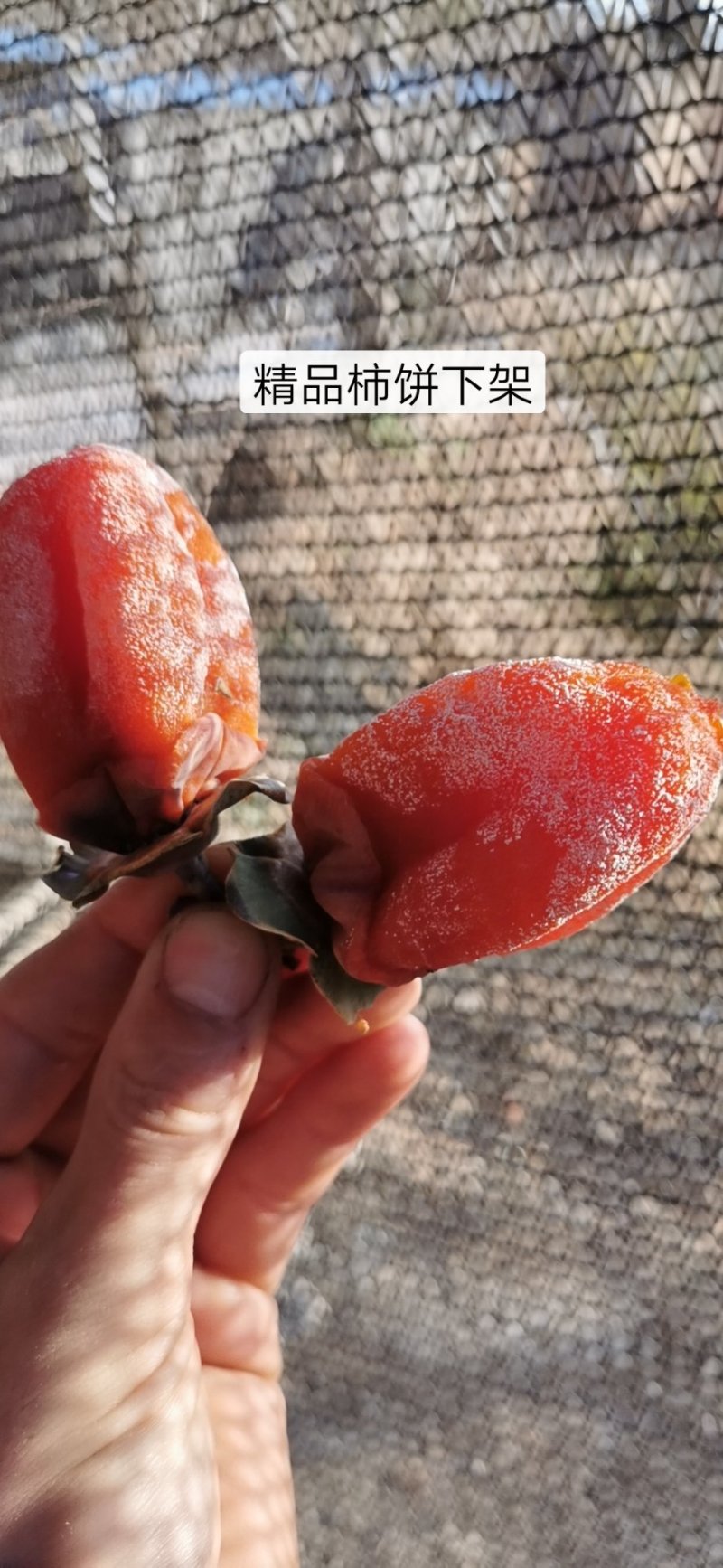 富平正宗吊饼富平柿饼特级优质柿饼一手货源大量供应