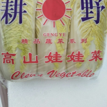 娃娃菜
