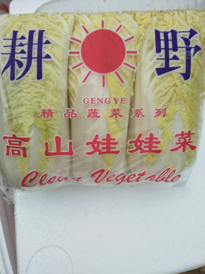 娃娃菜