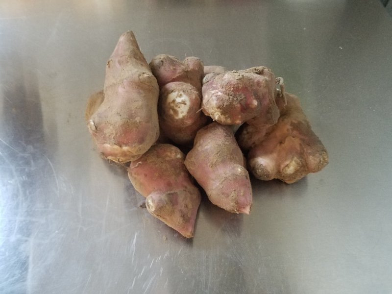 菊芋洋姜鬼子姜不辣陕北红果洋姜