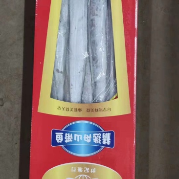 带鱼