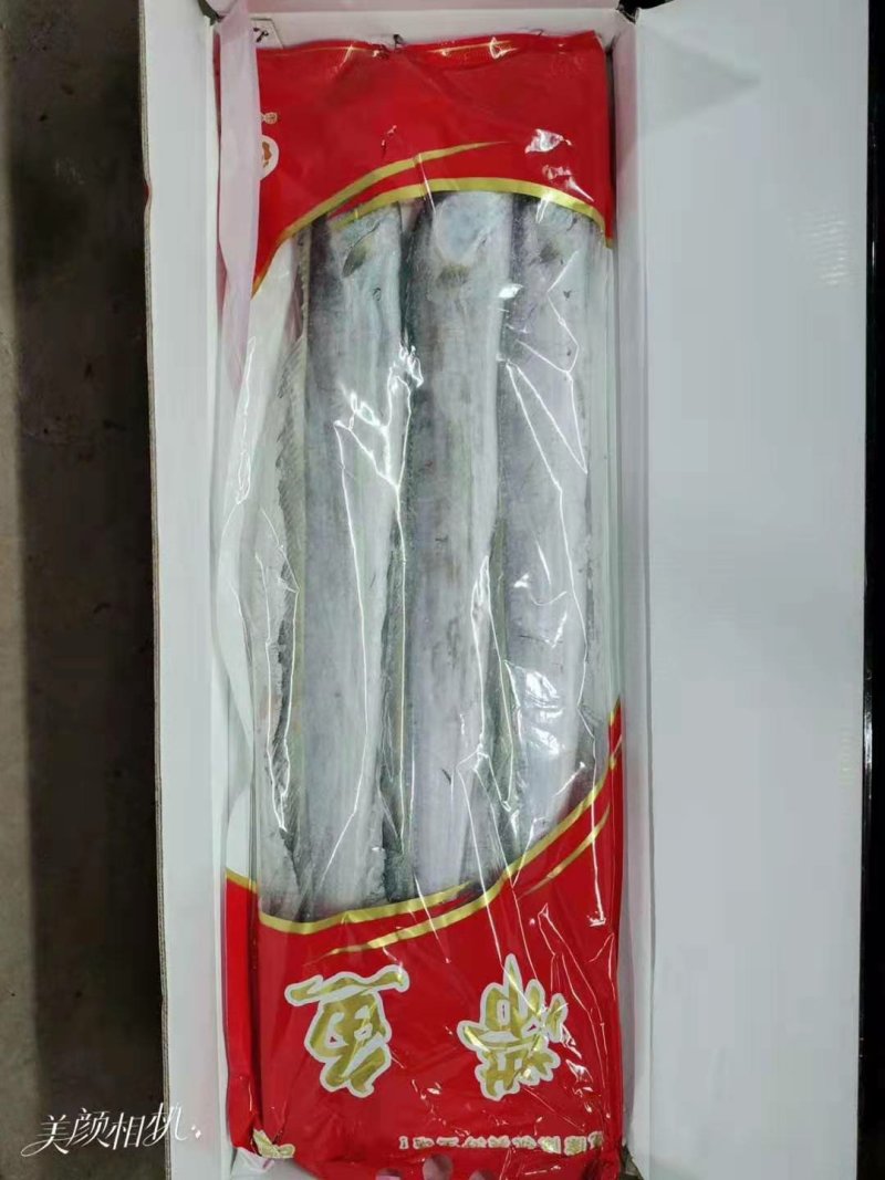 带鱼