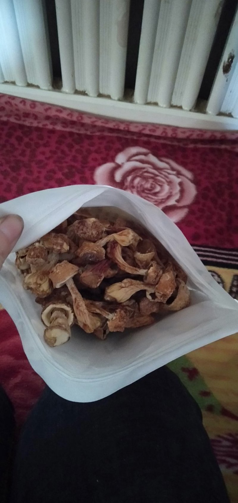 一手货源，产地直发，无熏硫姬松茸干货，牛皮纸袋