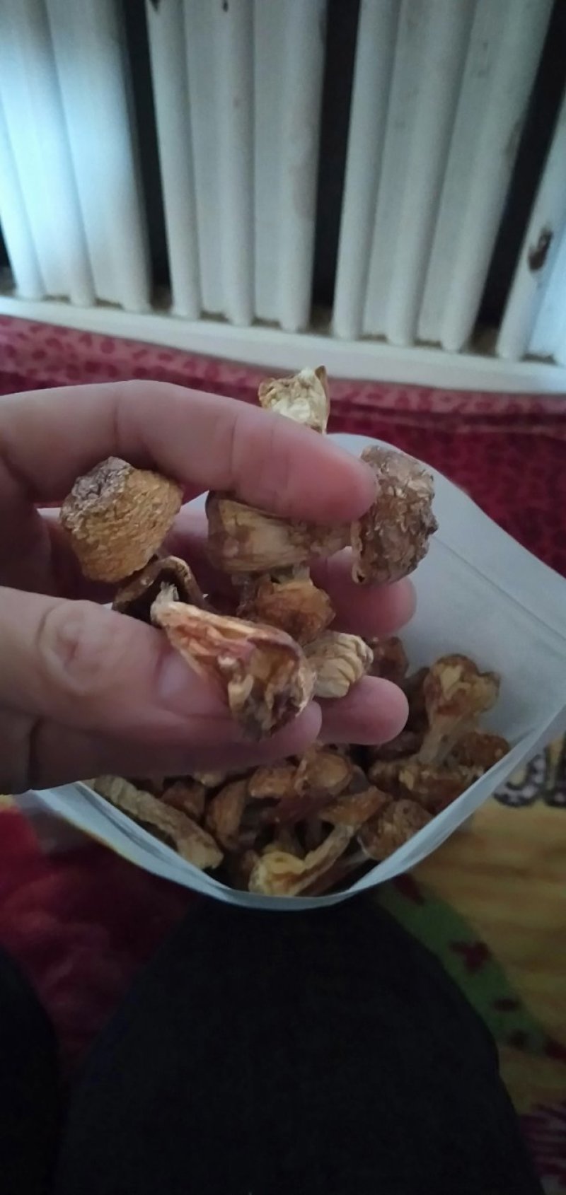 一手货源，产地直发，无熏硫姬松茸干货，牛皮纸袋