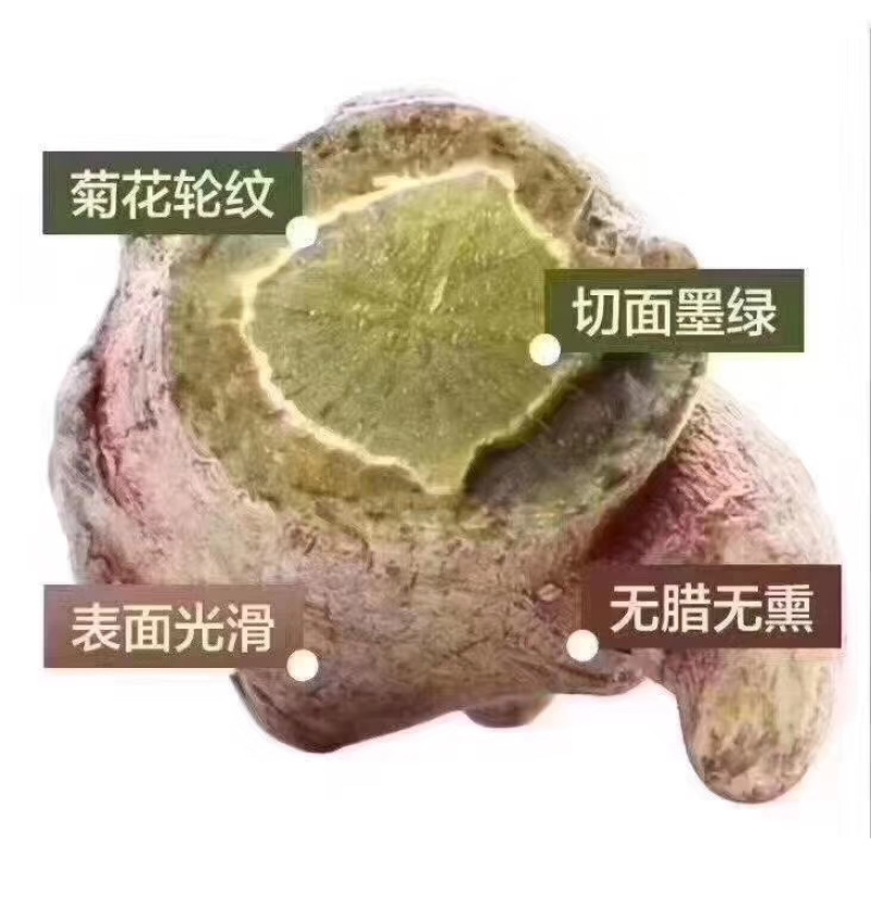 云南文山小三七【产地直销】大量批发零售包邮