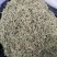 【1斤起发】河南金银花山东正银花二花无硫净货产地直销