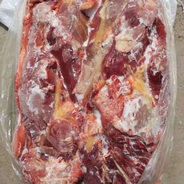 马肉