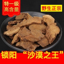 锁阳新疆精品锁阳片锁阳个各种规格产地直销大货净货