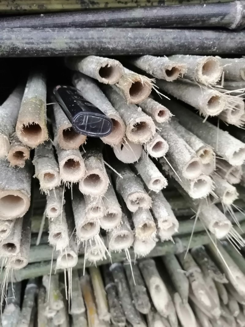 优质湖南各种规格的菜架竹