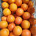 电商伦晚果冻橙中华红血橙锦橙对接超市社团供应链