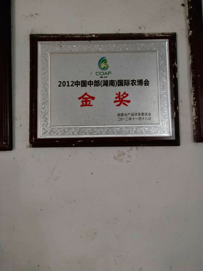 柚子苗安江早香柚移植苗根系好成活率高挂果快