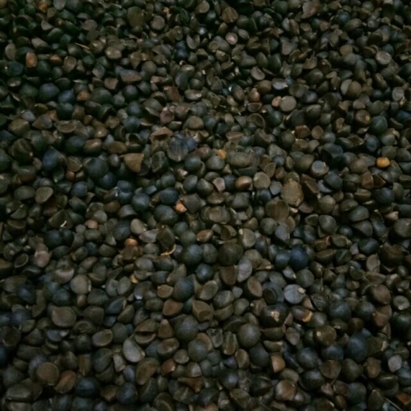 生态山茶油，茶麸