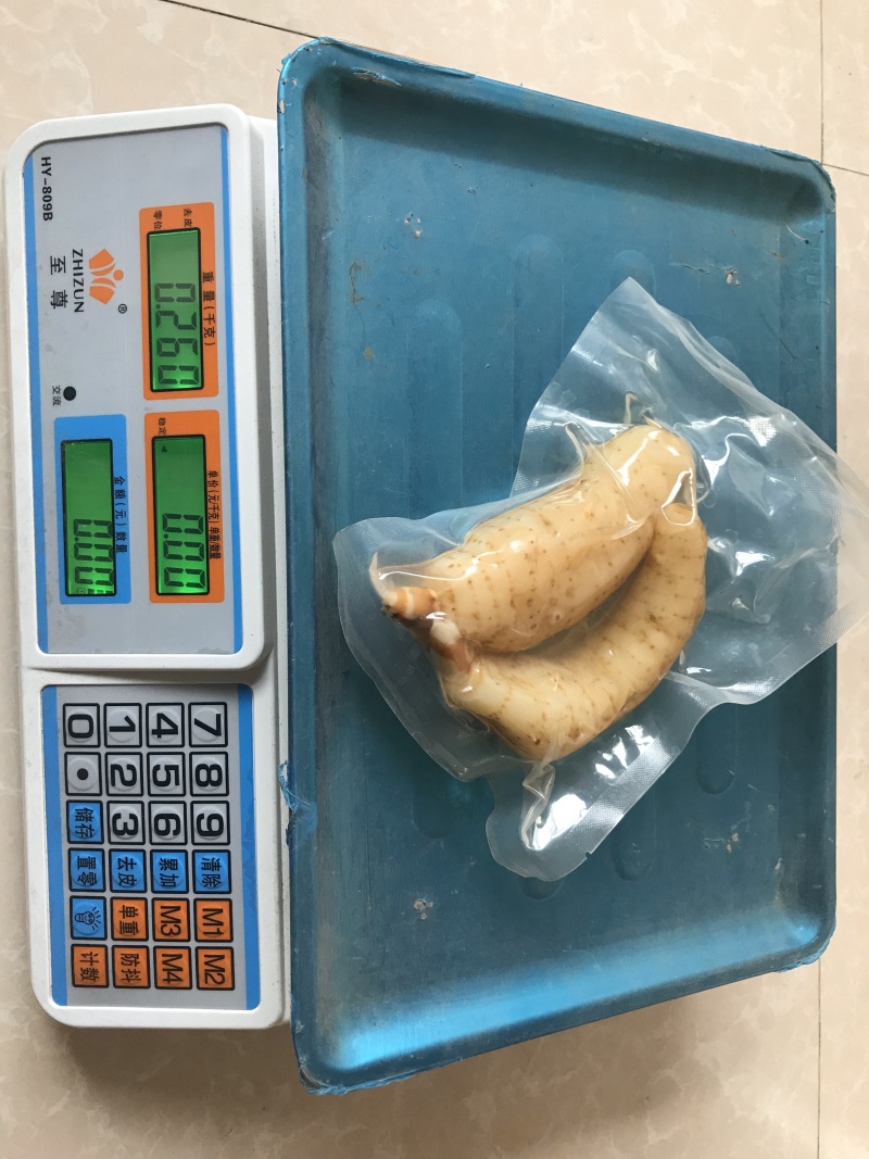 新鲜天麻真空包装大个湿天麻中药材煲汤凉拌红天麻