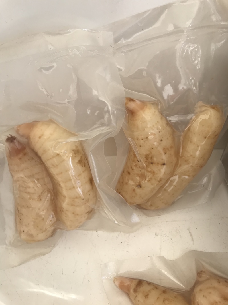 新鲜天麻真空包装大个湿天麻中药材煲汤凉拌红天麻