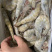 保鲜库600平对外出租，一年10万