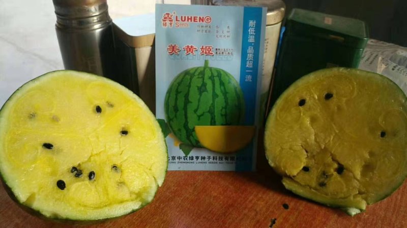 【优质】礼品西瓜黄美姬黄壤小西瓜质量保证品质保证