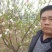 茉莉花盆栽茉莉花山东泰安基地直销各种花木