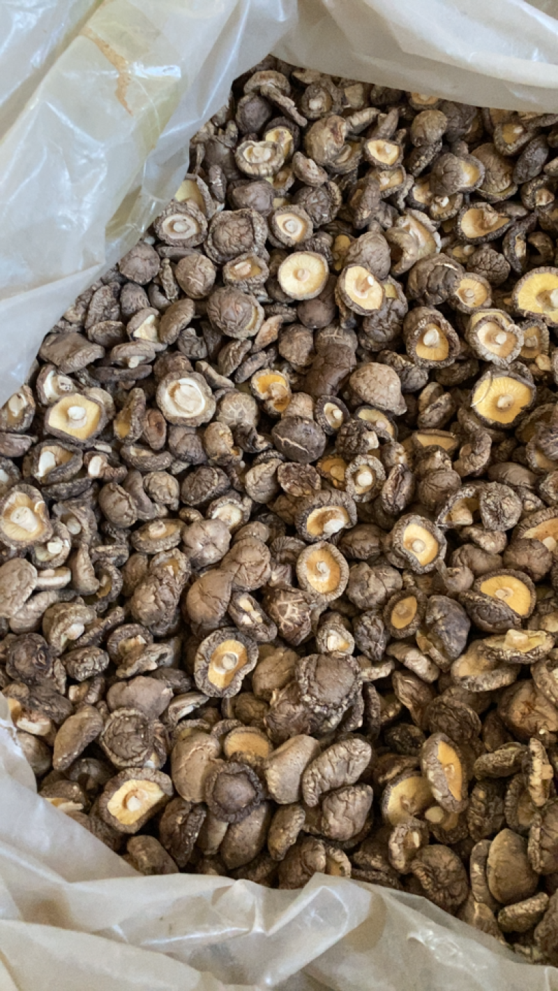 河南西峡香菇包邮干香菇香菇干货产地直销