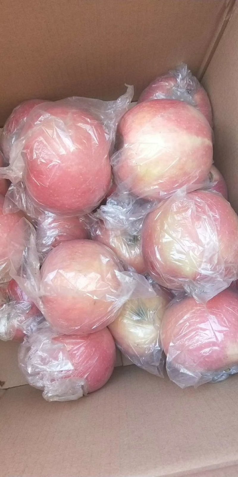 糖心红富士，75起步量大有货好（口感）欢迎来骚扰