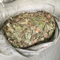 葫芦茶供应各种中草药材批发零售