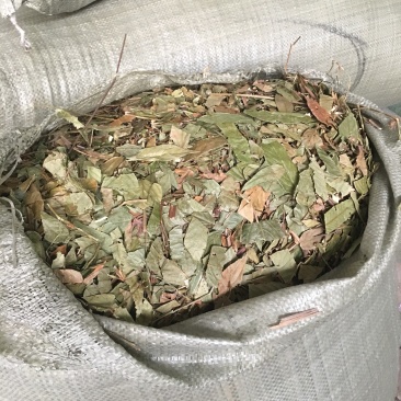 葫芦茶供应各种中草药材批发零售