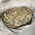 葫芦茶供应各种中草药材批发零售