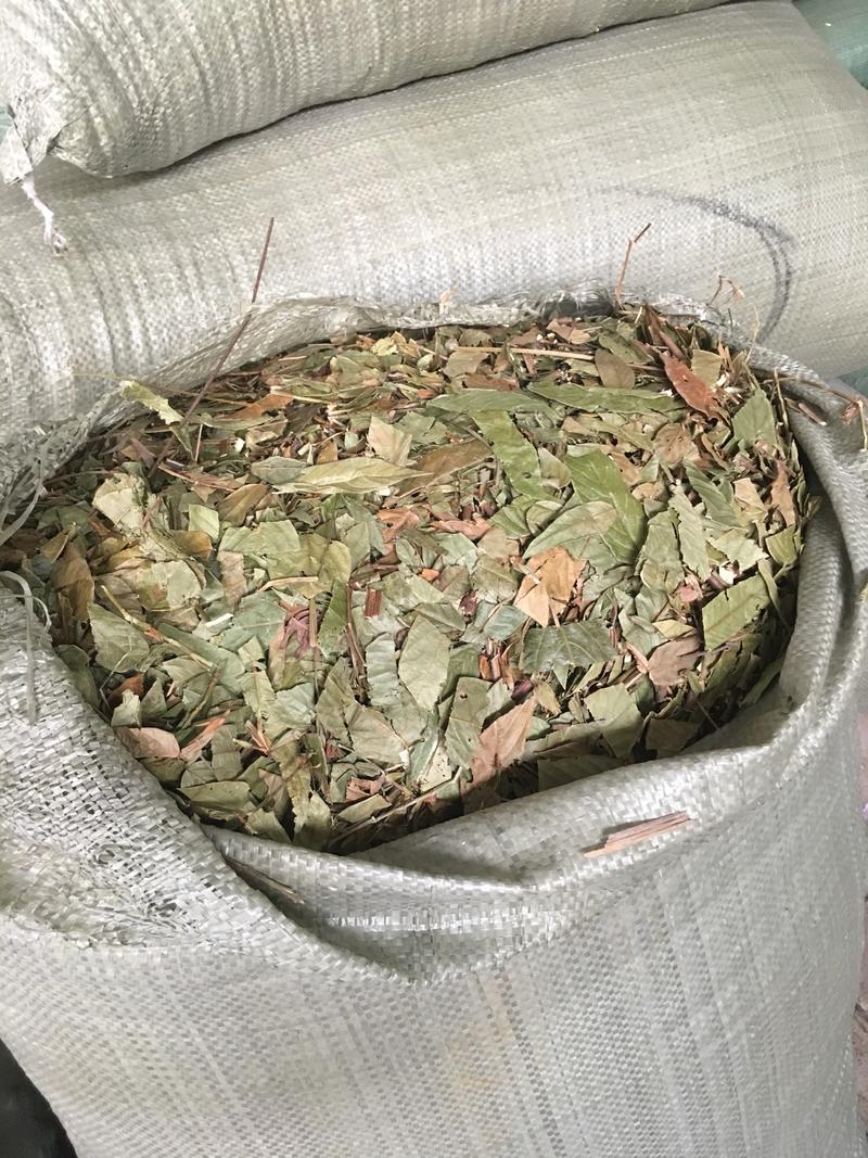 葫芦茶供应各种中草药材批发零售