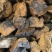 白桦茸黄褐孔菌煮水规格齐全2斤包邮