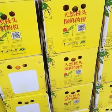 奉节脐橙