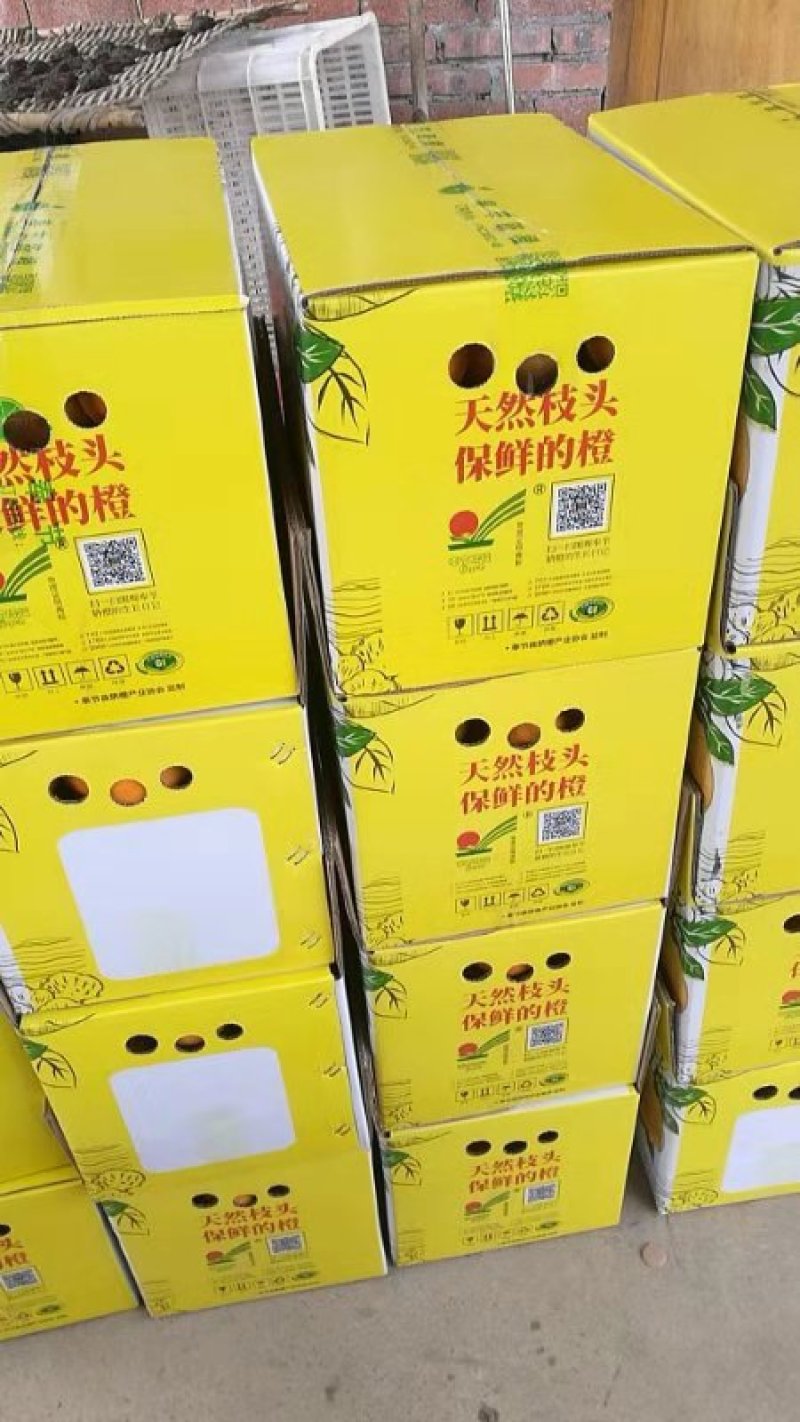 奉节脐橙