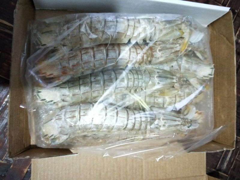 鲜活速冻皮皮虾虾爬子虾姑