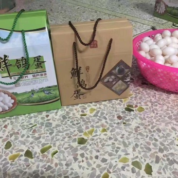 鸽子蛋
