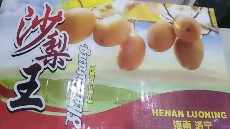 沙梨王