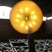 正宗高原冰糖心苹果皮薄核儿小，纯甜多汁