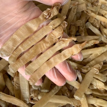 沙虫干