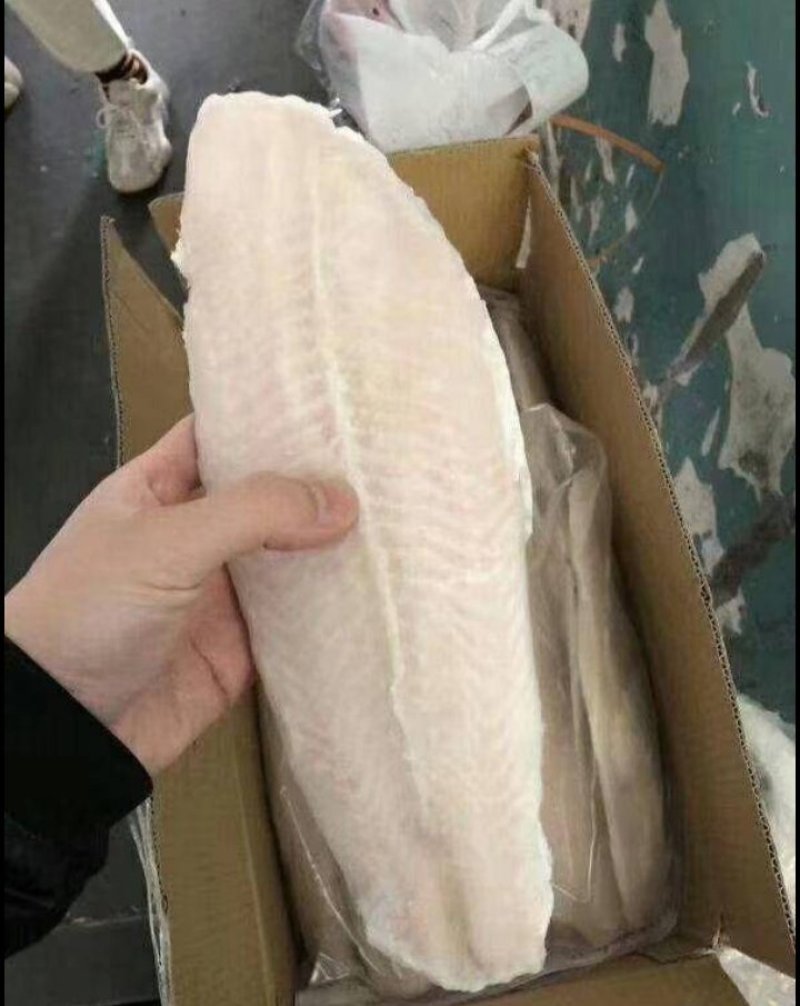 巴沙鱼