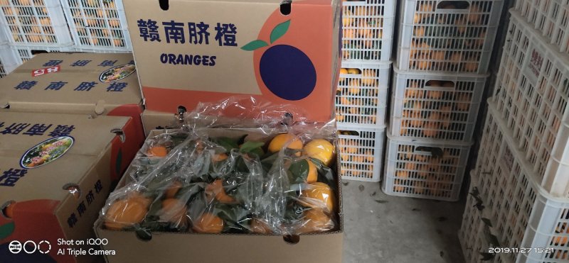 纽荷尔脐橙，可视频看货，，一手货源，