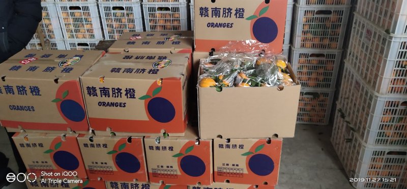 纽荷尔脐橙，可视频看货，，一手货源，