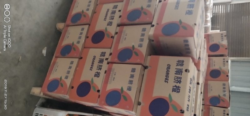 纽荷尔脐橙，可视频看货，，一手货源，