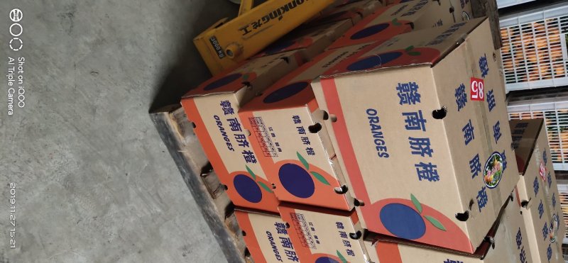 纽荷尔脐橙，可视频看货，，一手货源，