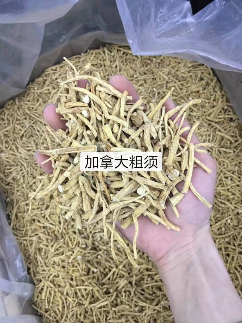 加拿大进口西洋参段腿片打粉散装西洋参片人参美国花旗参片