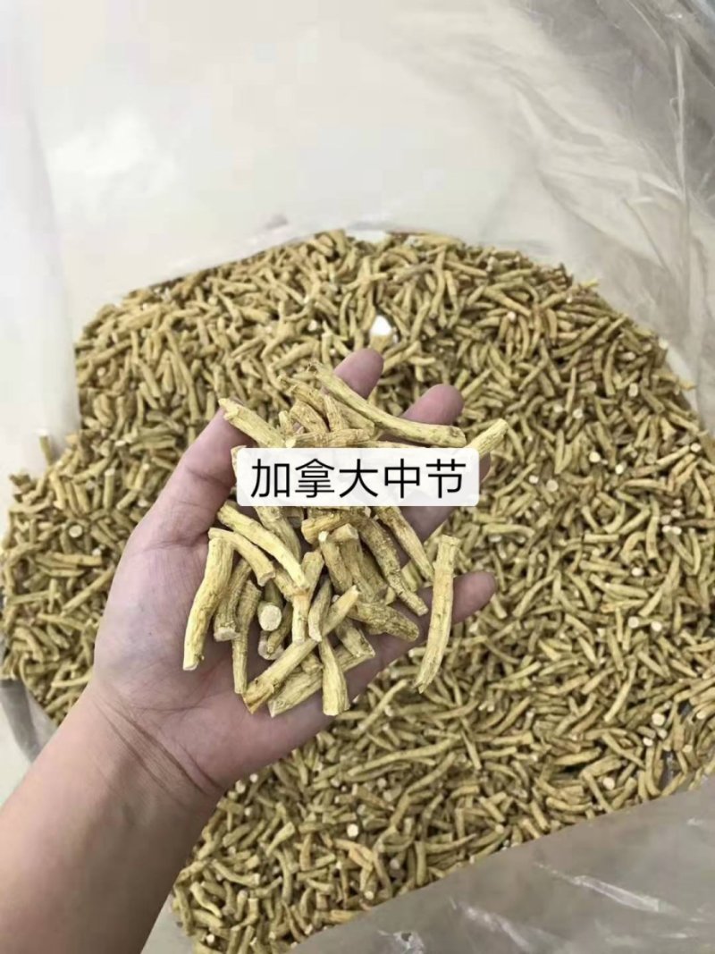 加拿大进口西洋参段腿片打粉散装西洋参片人参美国花旗参片