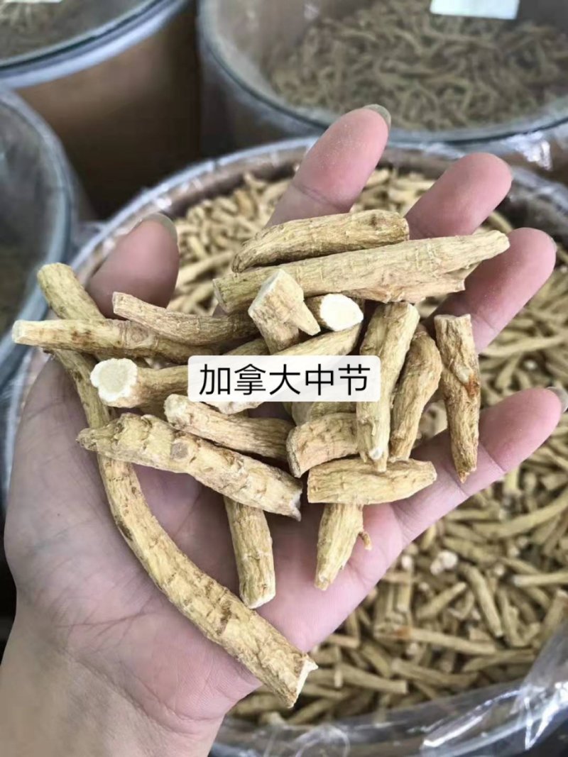 加拿大进口西洋参段腿片打粉散装西洋参片人参美国花旗参片